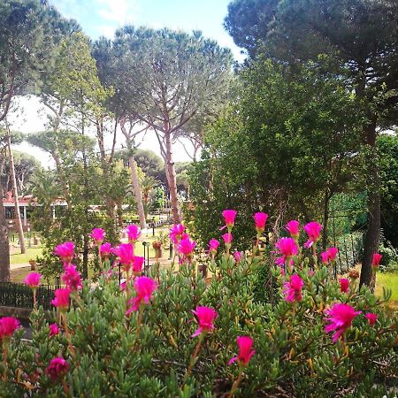 Casa Margherita Affittacamere B&B Фоллоника Экстерьер фото